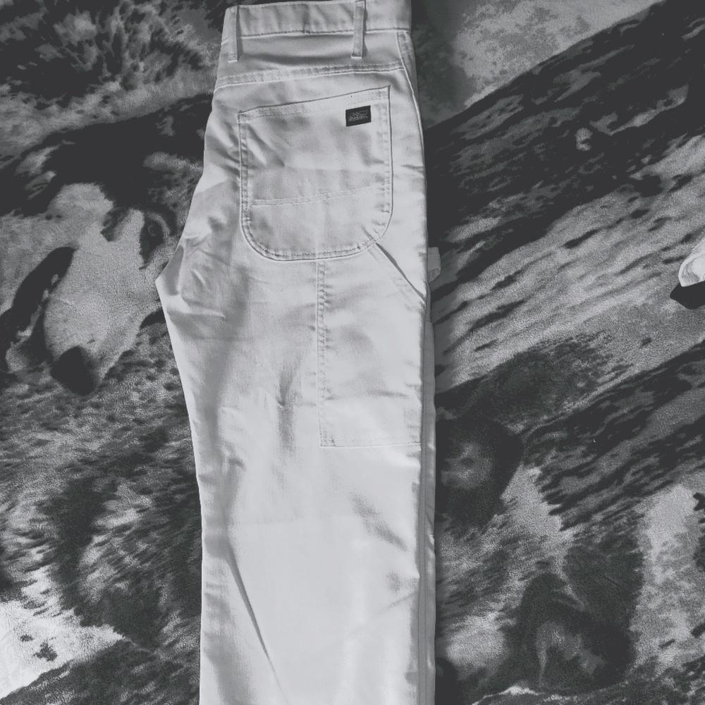 Painter's Pants